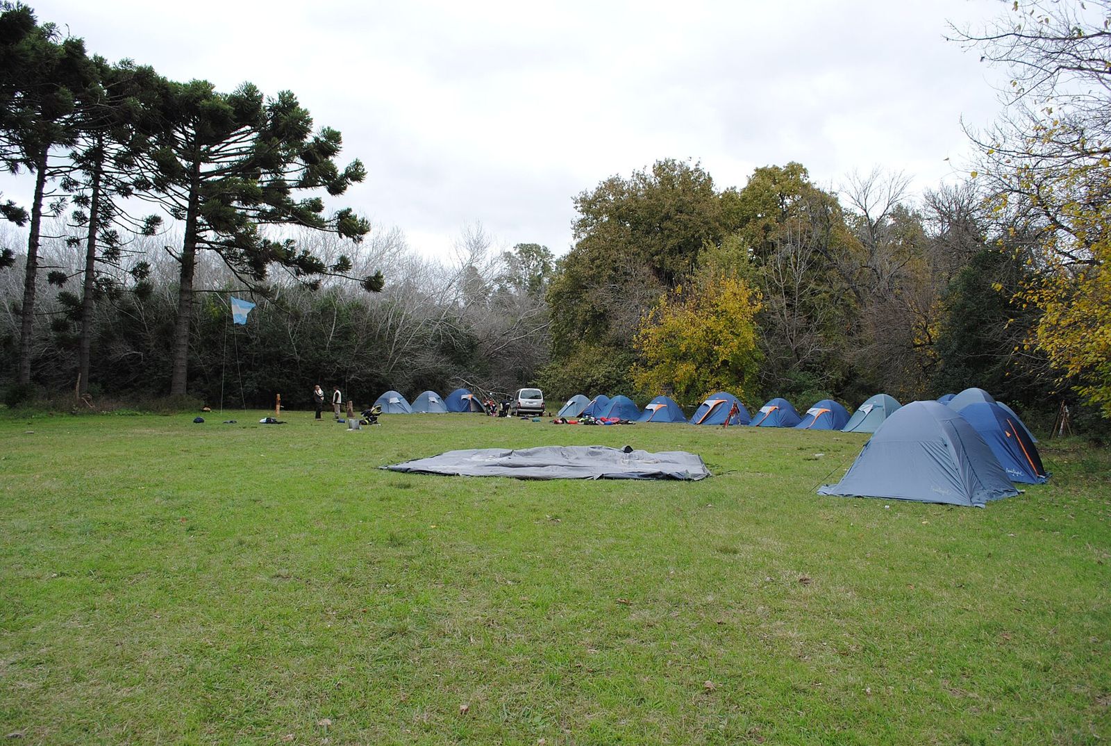 Tende montate su un prato durante un campo scout