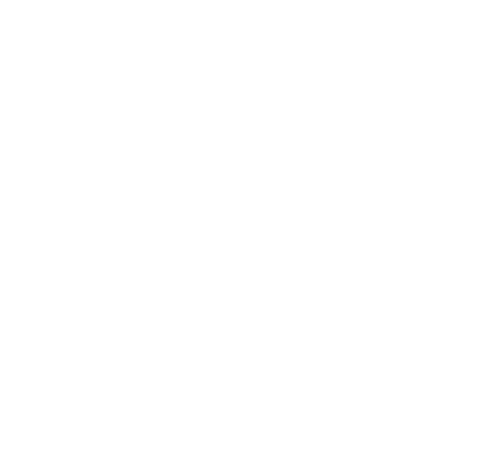 Gruppo Scout AGESCI Piacenza 2